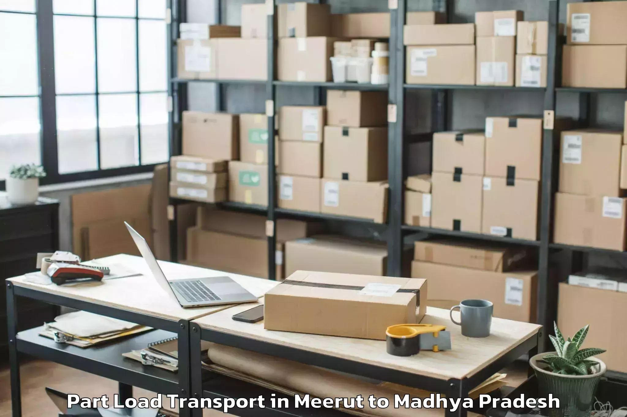 Book Meerut to Indore Part Load Transport Online